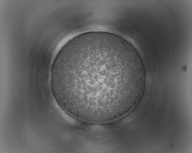 X0000111831424200907301309