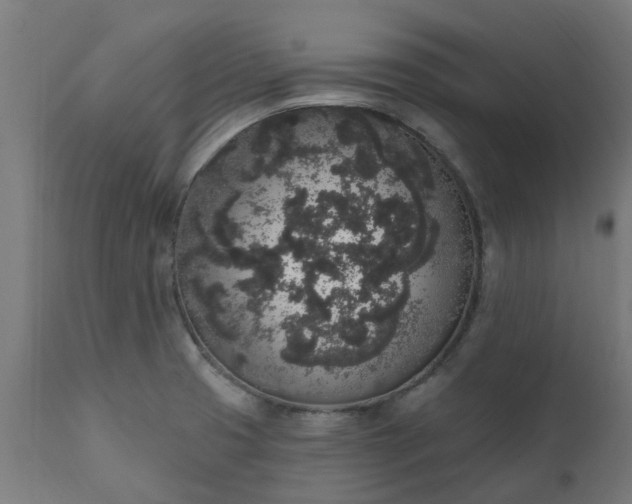 X0000111831425200907301309