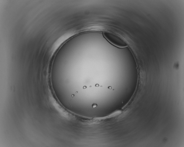 X0000111831426200907301309