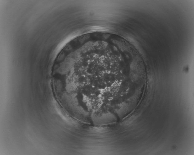 X0000111831427200907301309