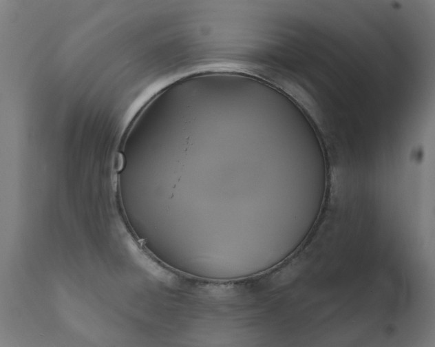 X0000111831428200907301309