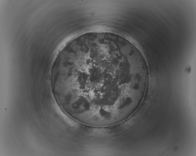 X0000111831429200907301309