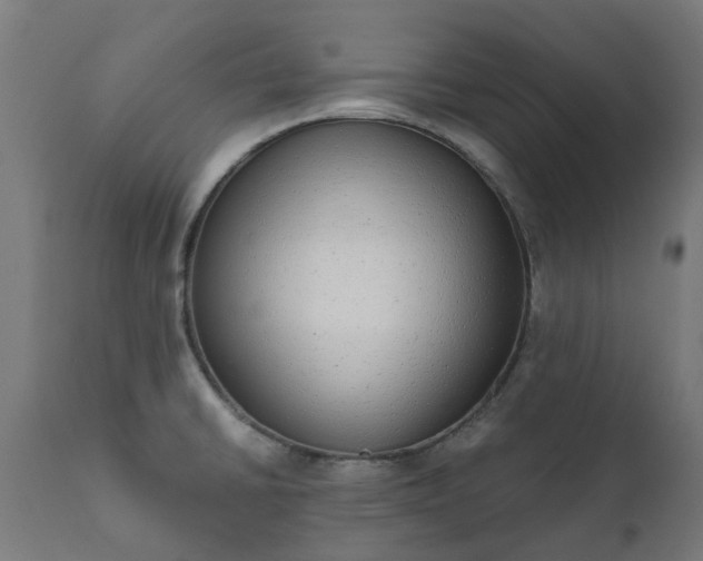 X0000111831430200907301309
