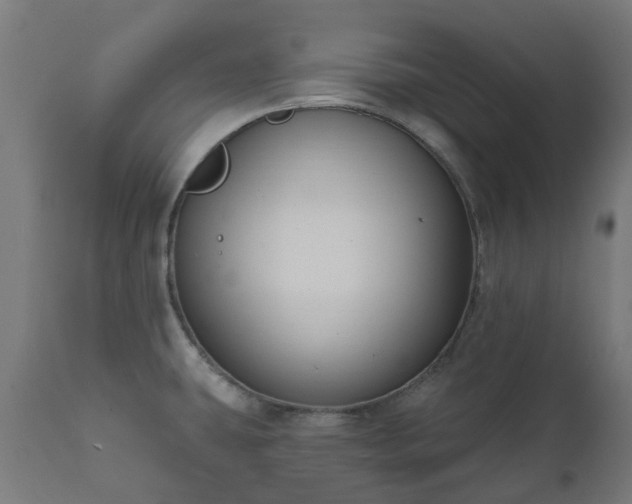 X0000111831431200907301309