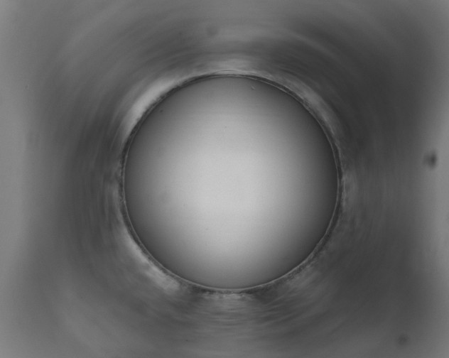 X0000111831432200907301309