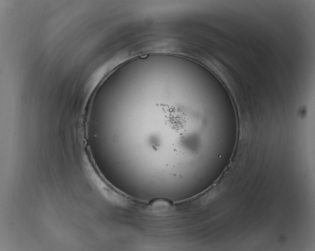 X0000111831434200907301309