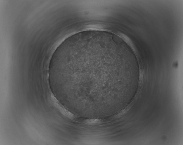 X0000111831435200907301309
