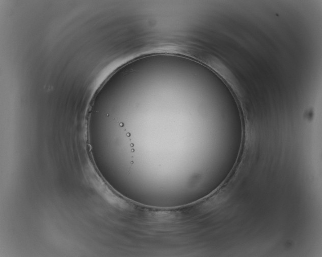 X0000111831436200907301309