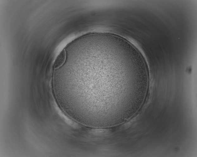 X0000111831437200907301309
