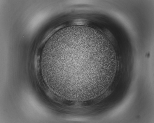 X0000111831438200907301309