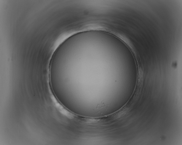 X0000111831439200907301309