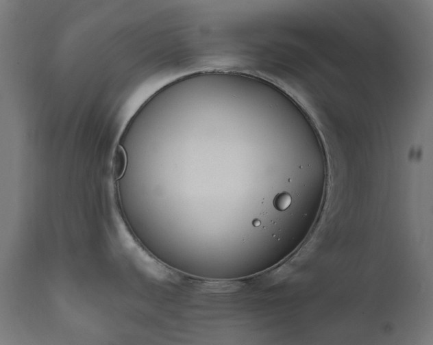 X0000111831440200907301309