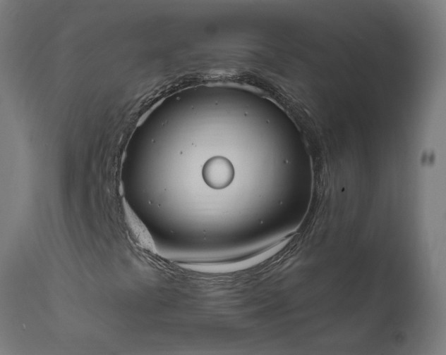 X0000111831441200907301309