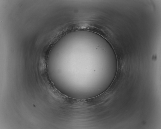 X0000111831442200907301309