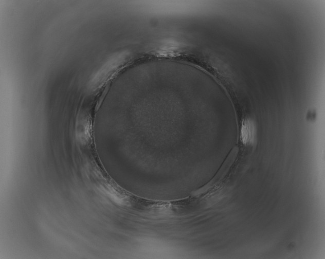 X0000111831444200907301309