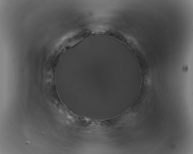X0000111831445200907301309