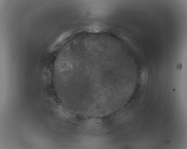 X0000111831446200907301309