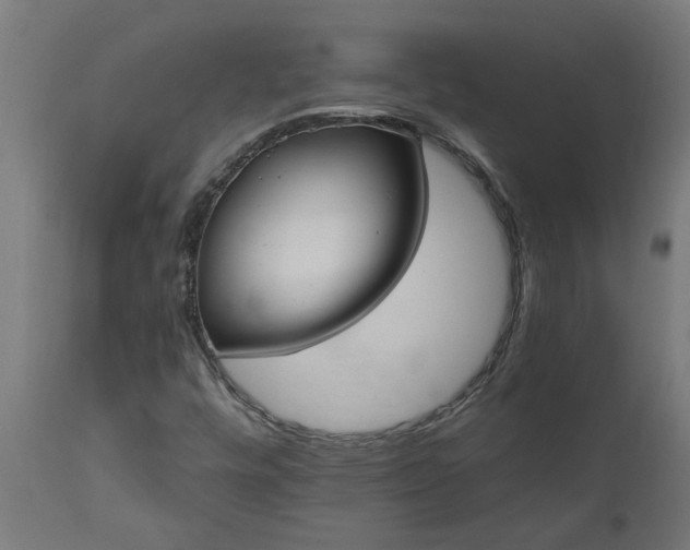 X0000111831448200907301309