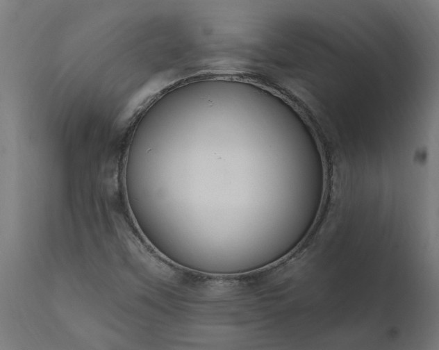 X0000111831451200907301309