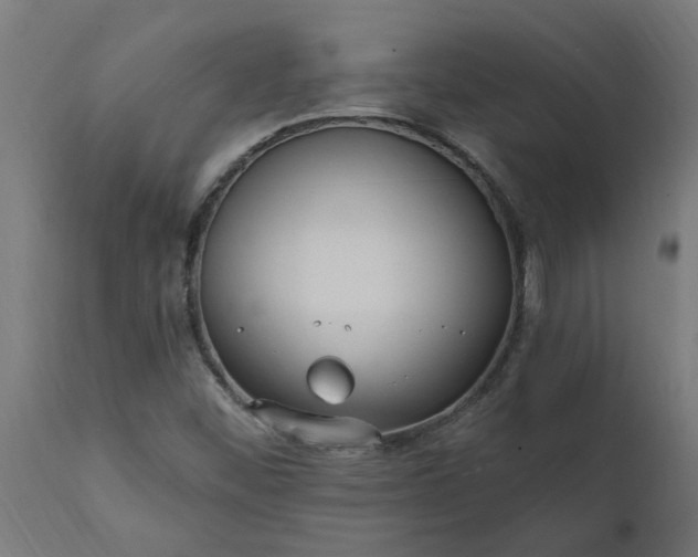 X0000111831452200907301308