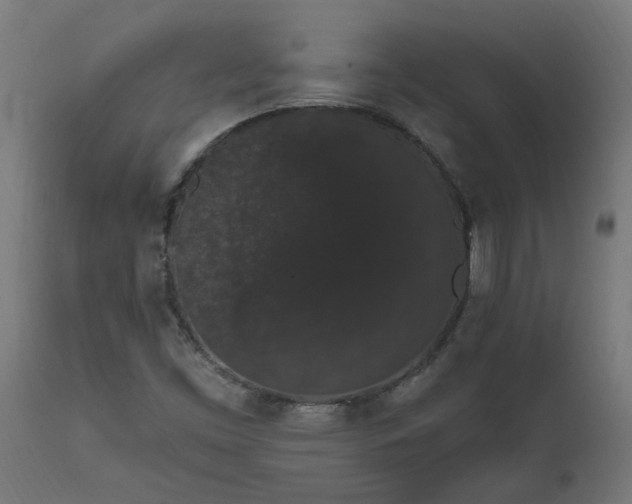 X0000111831453200907301308