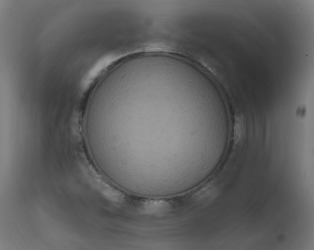 X0000111831454200907301308