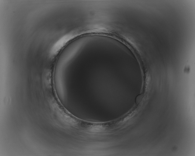 X0000111831455200907301308
