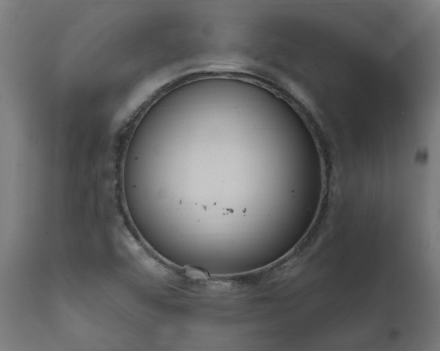 X0000111831456200907301308