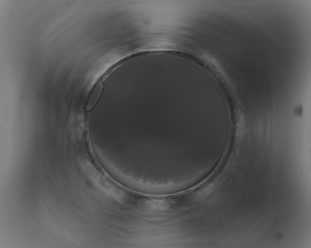X0000111831457200907301308