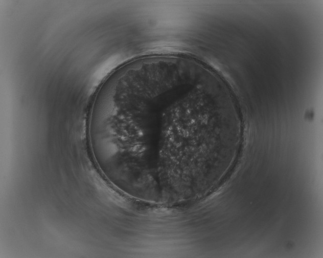 X0000111831459200907301308