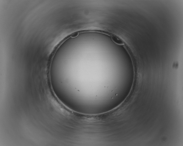 X0000111831460200907301308