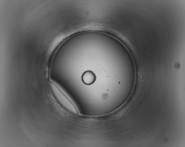 X0000111831461200907301308