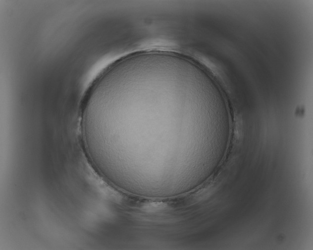 X0000111831462200907301308