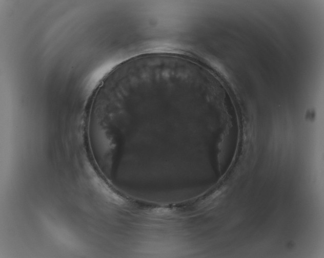 X0000111831463200907301308