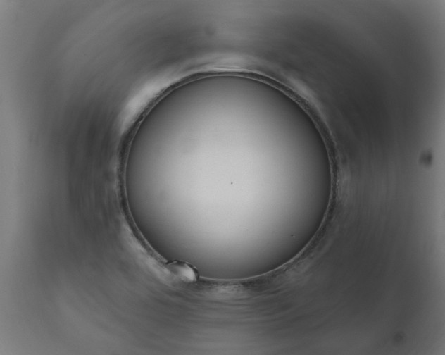 X0000111831464200907301308