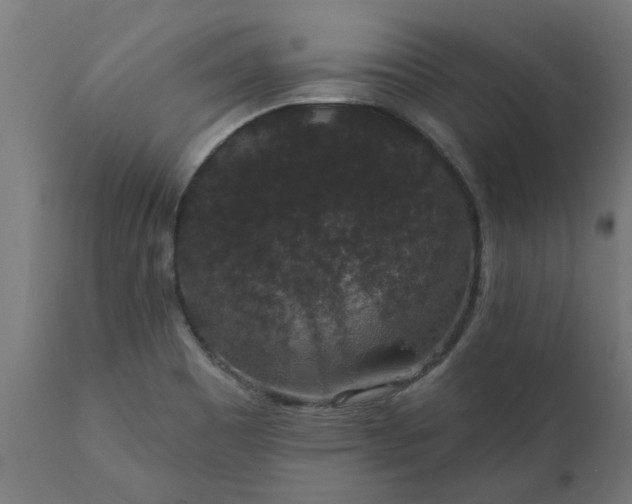 X0000111831465200907301308