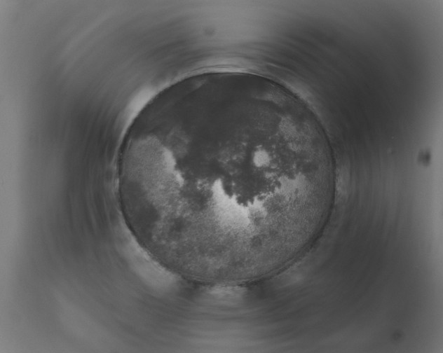 X0000111831466200907301308
