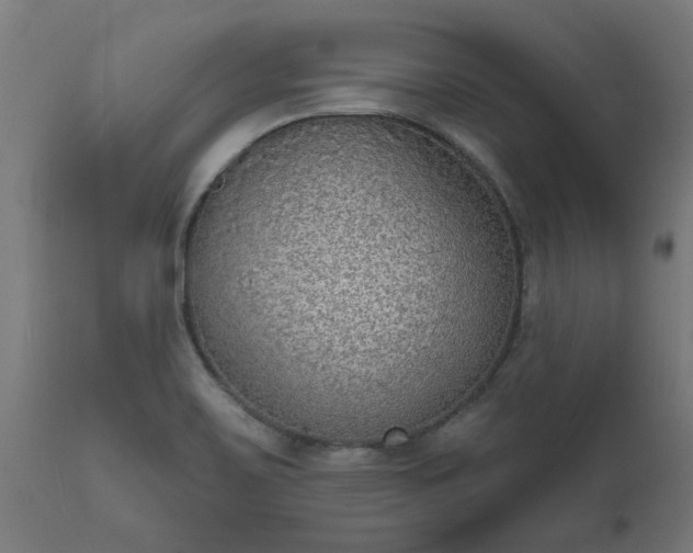 X0000111831467200907301308