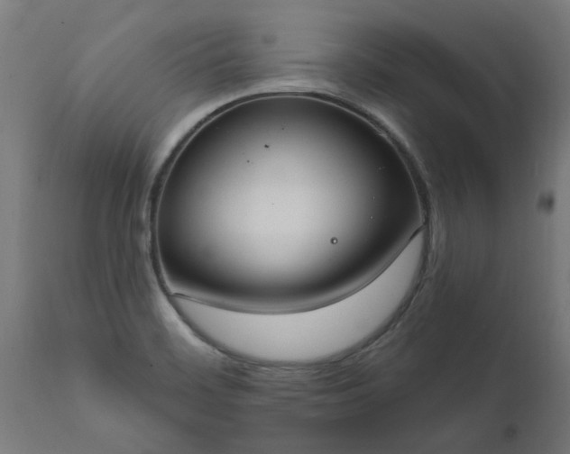 X0000111831468200907301308