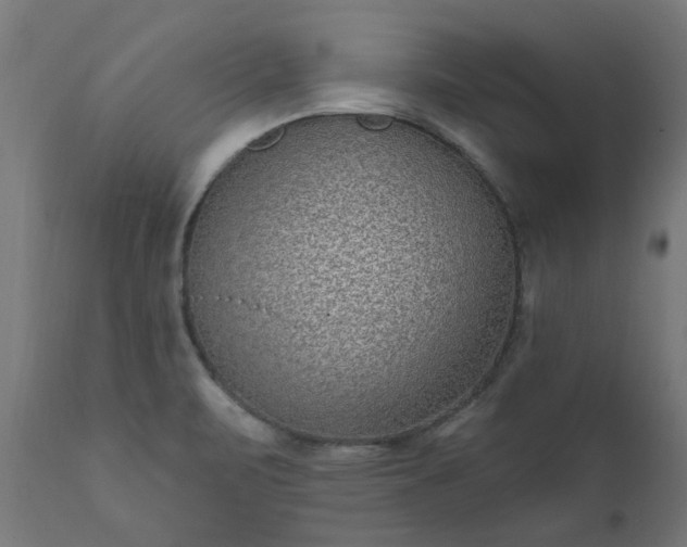 X0000111831471200907301308