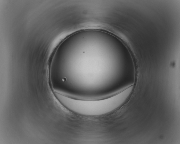 X0000111831472200907301308