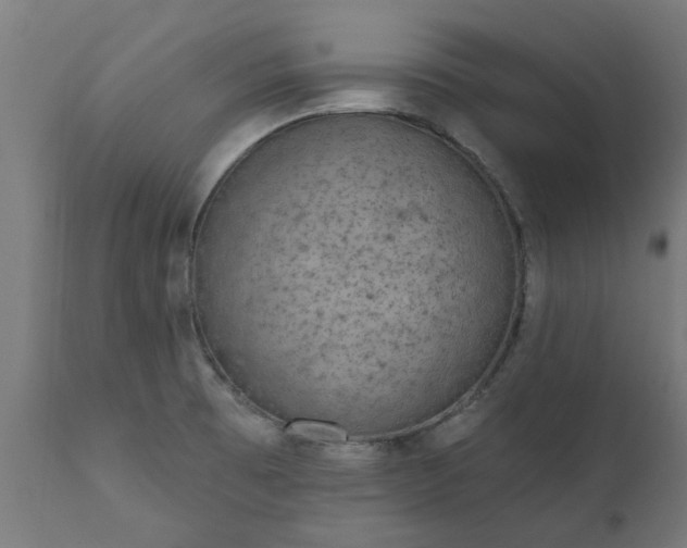 X0000111831473200907301308
