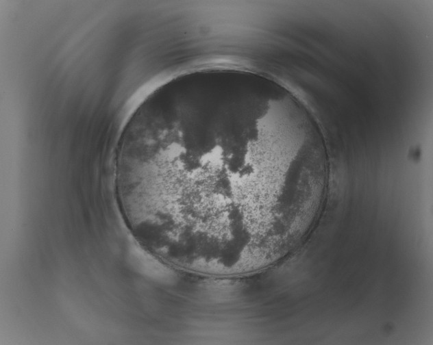 X0000111831474200907301308