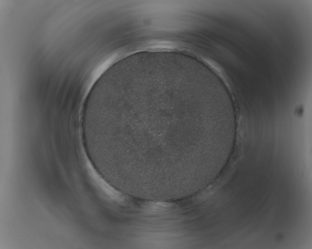 X0000111831475200907301308