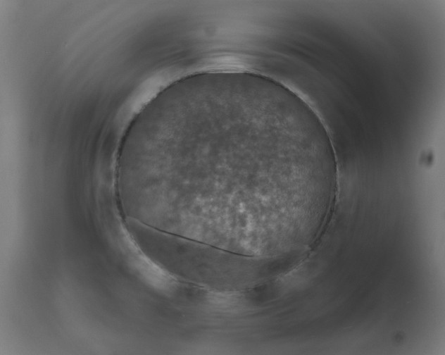 X0000111831477200907301308