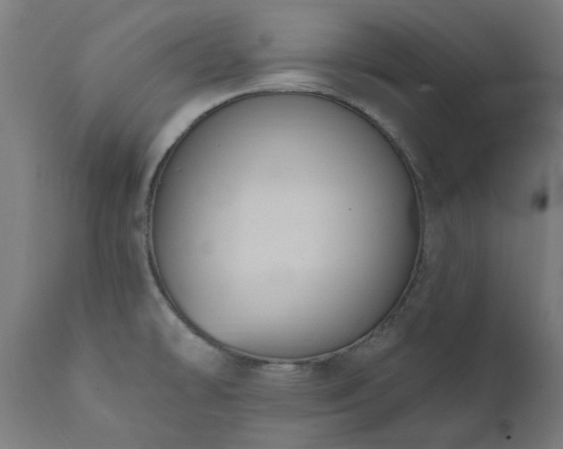 X0000111831478200907301308