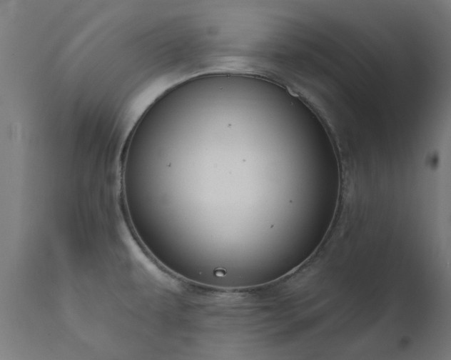 X0000111831479200907301308