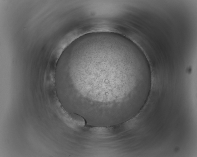 X0000111831481200907301308