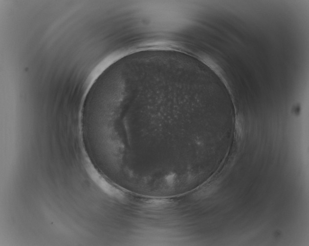 X0000111831482200907301308