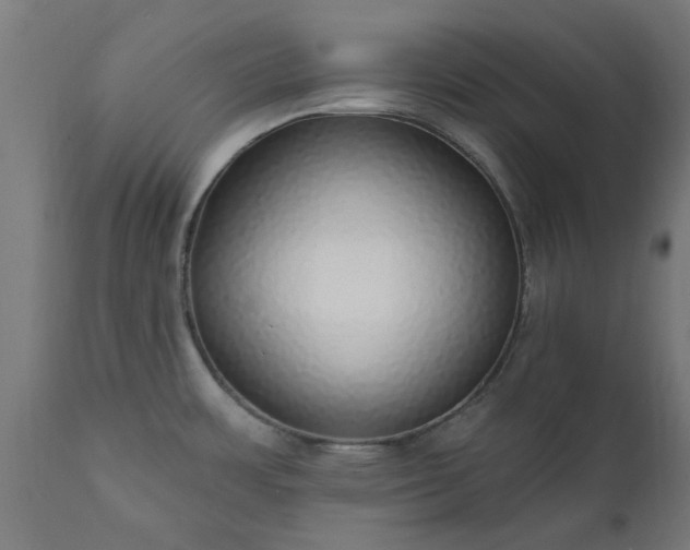 X0000111831483200907301308
